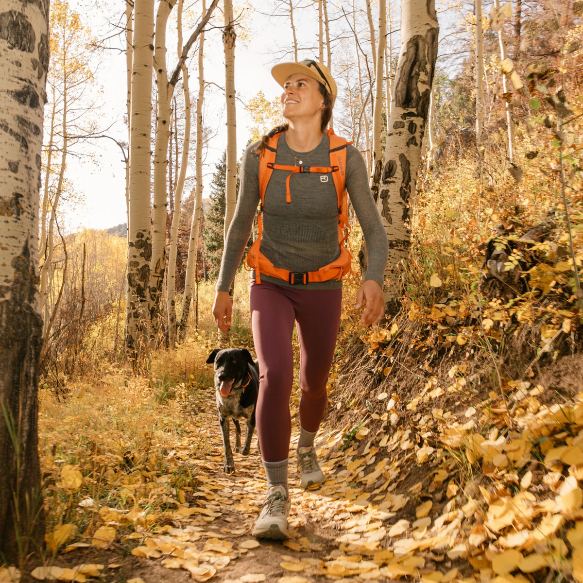 Women's Hiker Micro Crew Midweight Hiking Socks